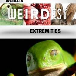 NG.    :    / World's Weirdest: Extremities (2013) HDTVRip [H.264/720p-LQ]