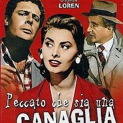 ,    / Peccato che sia una canaglia (1955) DVDRip