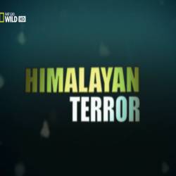 -:    / Monster fish: Himalayan Terror (2010) HDTVRip