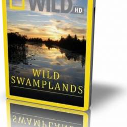 NG.   / Wild Swamplands ( 1) (2013) HDTVRip [720p]