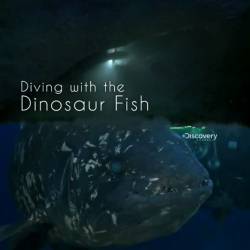    / Diving with the Dinosaur Fish (2013) SATRip