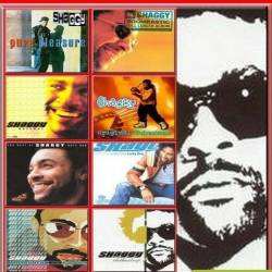 Shaggy - Discography (1993-2012) MP3