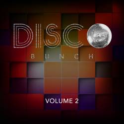 Disco Bunch Vol. 2 (2014)