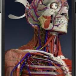 Essential Anatomy 3 v1.1.3 (2014/Eng) Android