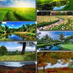 Beautiful Nature Wallpapers 138