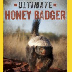    /  Ultimate Honey Badger (2013) HDTVRip (720p)