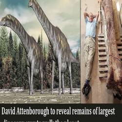     / Attenborough and the Giant Dinosaur (2016) HDTVRip