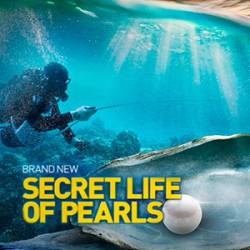    / The Secret Life of Pearls (2016) HDTVRip