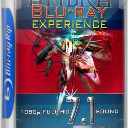  / Ambra Experience (2008) BDRip -1080p