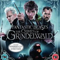  :  -- / Fantastic Beasts: The Crimes of Grindelwald (2018) WEB-DLRip/WEB-DL 720p/WEB-DL 1080p/