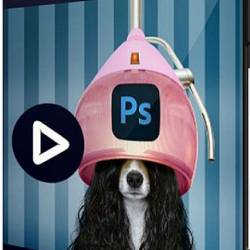 Adobe Photoshop:  .  .  1 (2020) -