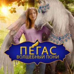 :   / Pegasus: Pony with a Broken Wing (2020) WEB-DL