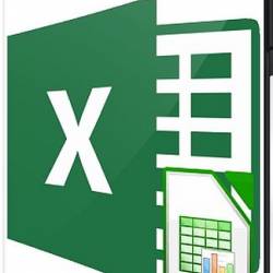    Excel: Excel VBA (2021) 