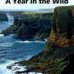 :   / Scotland: A Wild Year (2021) HDTVRip