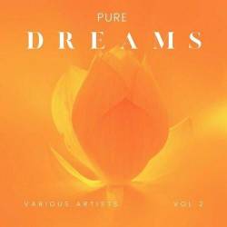 Pure Dreams Vol. 2 (2024) FLAC - Lounge, Chillout, Downtempo