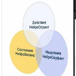   - Neurointegration Fundamentals (NIF) (2023) 