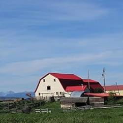 All Quiet on the Russian Front - [AUDIOBOOK]