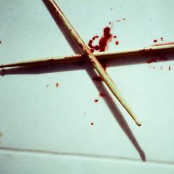 Ikari - Not My Tempo (2025)