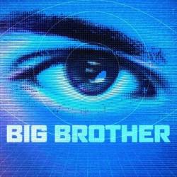 Big Brother AU S16E11 1080p HEVC x265-MeGusta