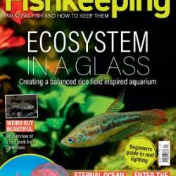 Practical Fishkeeping - January 2026