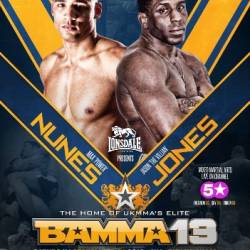 BAMMA 13: Night Of Champions (2013) SDTVRip