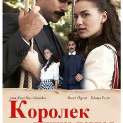  -   / &#199;alikusu (2013) WEB-DLRip -  24