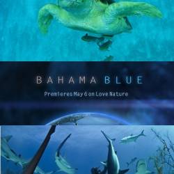   / Bahama Blue (2014) HDTV720-  1