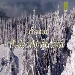    / A Christmas Winter Wonderland (2014) DVB