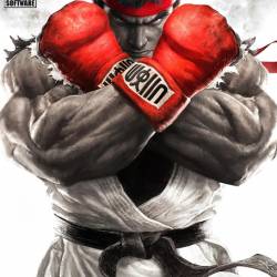 Street Fighter V: Deluxe Edition (v 2.0/2016/RUS/ENG/MULTI11/RePack  SEYTER)