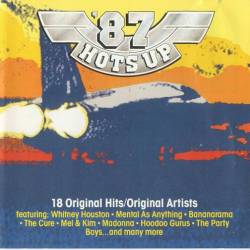 VA - 87 Hots Up (1987/MP3)