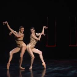    -   -    /Gil Roman - Aria - Bejart Ballet De Lausanne/ (    - 2009) HDTVRip