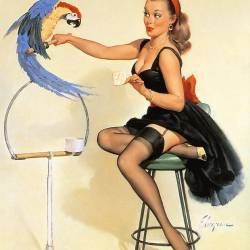   Gil Elvgren -   Pin-up (807 )