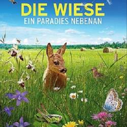 .   /  -     / Die Wiese - Ein Paradies nebenan (2019) HDTV 1080i