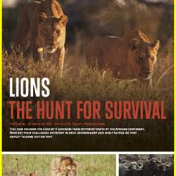 :    / Lions: The Hunt For Survival (2021) WEBRip 1080p