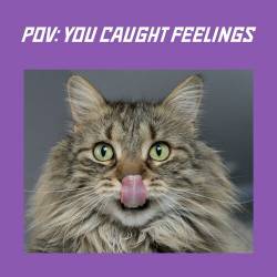 Pov you caught feelings (2023) - Pop, Rock, RnB, Dance