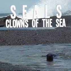  -   / Seals - Clowns of the Sea (2021) , , , , HDTVRip 720p