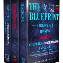 Raspberry Pi & Hacking & Computer Programming Languages: 3 Books in 1: The Blueprint: Everything You Need to Know - Cyberpunk Architects