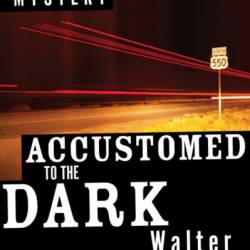 Accustomed to the Dark - Walter Satterthwait