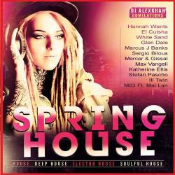 Spring House (Mp3) - House!