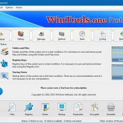 WinTools one Home Professional 25.11.1 Multilingual