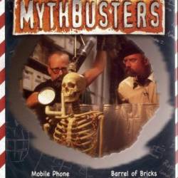  :    / MythBusters: Do Try This at Home? (2014) WEB-DLRip