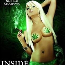 [NG]  .   / Inside: Marijuana (2009) [SATRip]