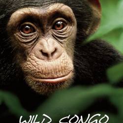    (2   2) / Wild Congo (2013) HDTVRip (720p)