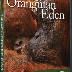    / The Last Orangutan Eden (2015) HDTVRip