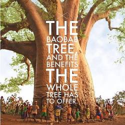   (3   3) / Africa's Trees of Life (2015) HDTVRip (720p)