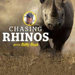    / Chasing Rhinos (2013) HDTV 1080i