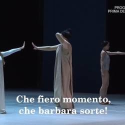  -     -   -   /Gluck - Orfeo ed Euridice - Francesco Ommassini - Emma Martin - Daniela Barcellona - Cinzia Forte - Teatro di San Carlo di Napoli/ ( -   - 2015) HDTVRip