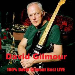 David Gilmour - 100% David Gilmour Best LIVE (2020) MP3