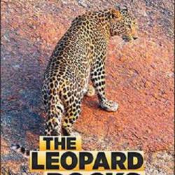   / The Leopard Rocks (2017) HDTVRip 1080p