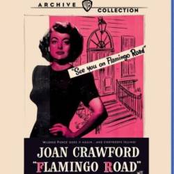   / - / Flamingo Road ( ʸ / Michael Curtiz) (1949) , -, , , BDRip 720p